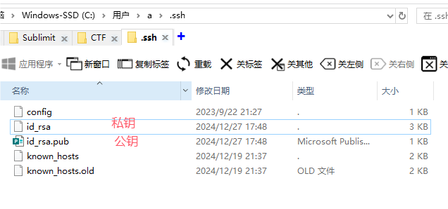 QQ_1735294955401